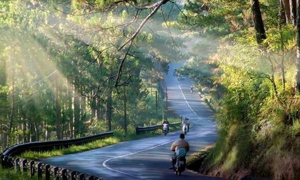 Đà Lạt (Bài đọc hiểu tiếng Việt lớp 5 - đề số 14)